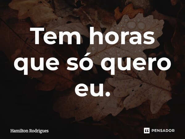 ⁠Tem horas que só quero eu.... Frase de Hamilton Rodrigues.