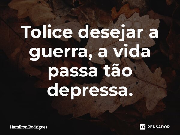 Tolice desejar a guerra, a vida passa tão depressa.⁠... Frase de Hamilton Rodrigues.