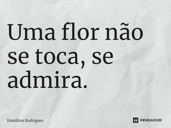⁠Uma flor não se toca, se admira.... Frase de Hamilton Rodrigues.