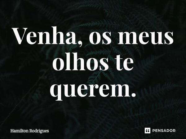 ⁠Venha, os meus olhos te querem.... Frase de Hamilton Rodrigues.