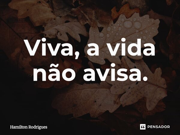 ⁠Viva, a vida não avisa.... Frase de Hamilton Rodrigues.