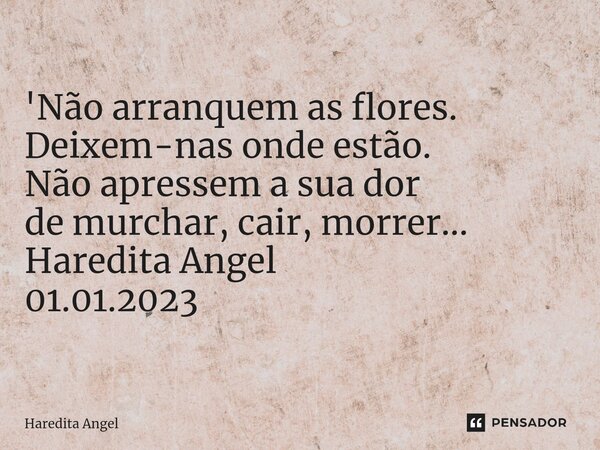 ⁠'Não arranquem as flores. Deixem-nas onde estão. Não apressem a sua dor de murchar, cair, morrer... Haredita Angel 01.01.2023... Frase de Haredita Angel.