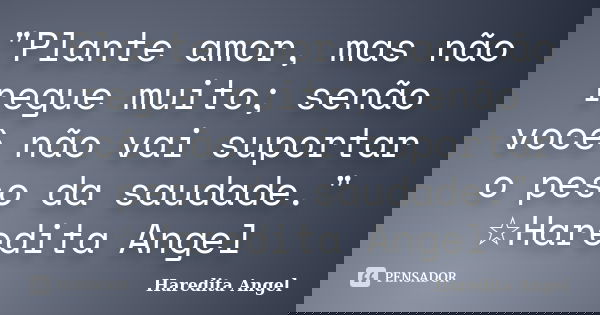 "Plante amor, mas não regue muito; senão você não vai suportar o peso da saudade." ☆Haredita Angel... Frase de Haredita Angel.