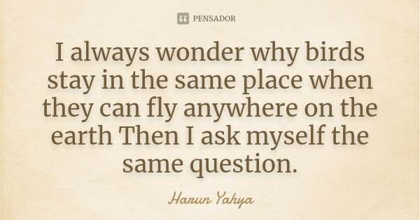 I always wonder why birds stay in the same place when they can fly anywhere on the earth Then I ask myself the same question.... Frase de Harun Yahya.