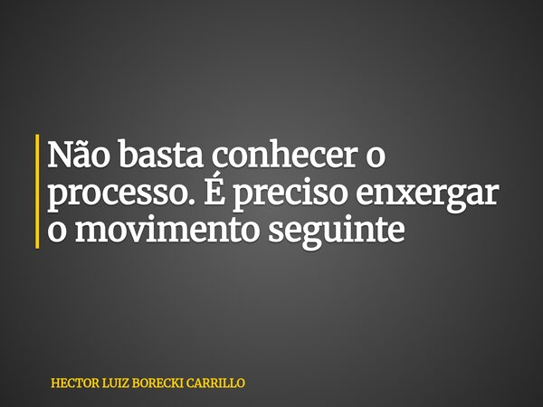 Não basta conhecer o processo. É preciso enxergar o movimento seguinte... Frase de HECTOR LUIZ BORECKI CARRILLO.