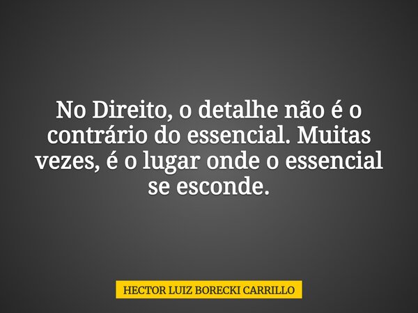 No Direito, o detalhe não é o contrário do essencial. Muitas vezes, é o lugar onde o essencial se esconde.... Frase de HECTOR LUIZ BORECKI CARRILLO.