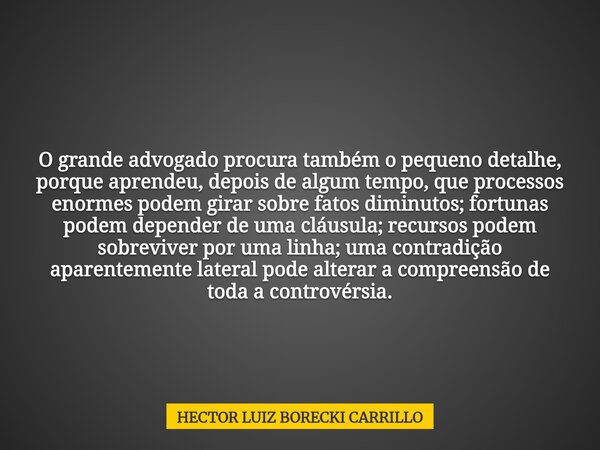O grande advogado procura também o pequeno detalhe, porque aprendeu, depois de algum tempo, que processos enormes podem girar sobre fatos diminutos; fortunas po... Frase de HECTOR LUIZ BORECKI CARRILLO.