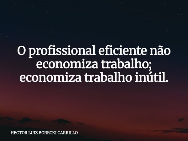 O profissional eficiente não economiza trabalho; economiza trabalho inútil.... Frase de HECTOR LUIZ BORECKI CARRILLO.
