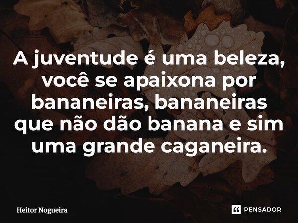 A juventude é uma beleza, você se apaixona por bananeiras, bananeiras que não dão banana e sim uma grande ⁠caganeira.... Frase de Heitor Nogueira.
