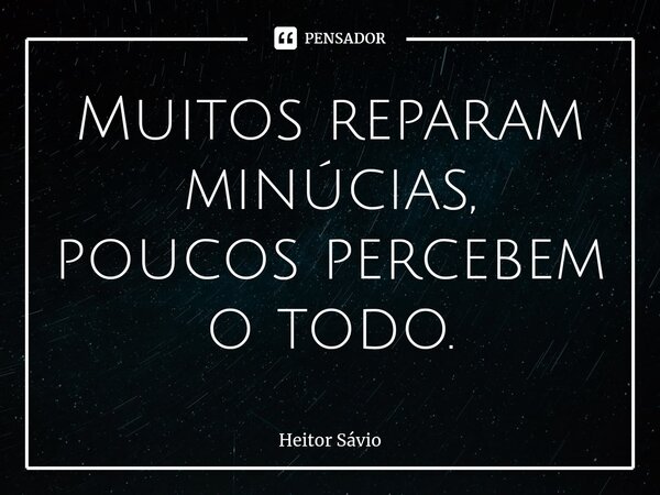 Muitos reparam minúcias, poucos percebem o todo.... Frase de Heitor Sávio.