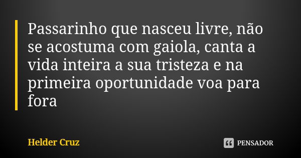 Passarinho que nasceu livre, não se acostuma com gaiola, canta a vida inteira a sua tristeza e na primeira oportunidade voa para fora... Frase de Hélder Cruz.