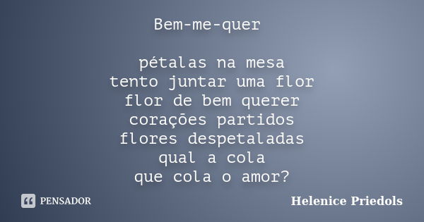 Bem-me-quer pétalas na mesa tento juntar uma flor flor de bem querer corações partidos flores despetaladas qual a cola que cola o amor?... Frase de Helenice Priedols.