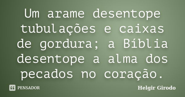 Um arame desentope tubulações e caixas de gordura; a Bíblia desentope a alma dos pecados no coração.... Frase de Helgir Girodo.