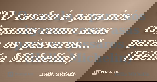 "O cavalo é para nós ciganos como asas para os pássaros..." (Hélia Michelin)... Frase de Hélia Michelin.