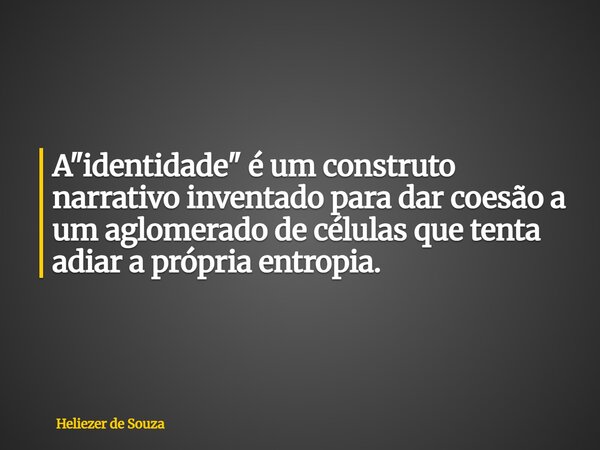 A "identidade" é um construto narrativo inventado para dar coesão a um aglomerado de células que tenta adiar a própria entropia.... Frase de Heliezer de Souza.