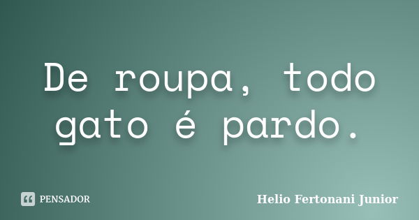 De roupa, todo gato é pardo.... Frase de Helio Fertonani Junior.