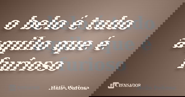 o belo é tudo aquilo que é furioso... Frase de Helio Pedrosa.