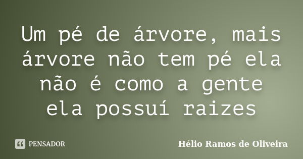 Um pé de árvore, mais árvore não tem pé ela não é como a gente ela possuí raizes... Frase de Hélio Ramos de Oliveira.