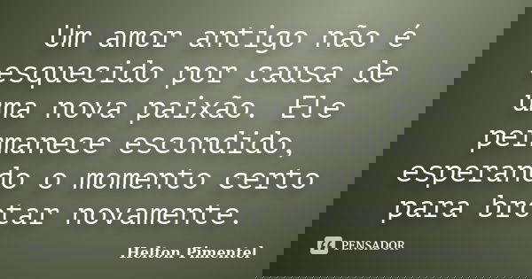 Um amor antigo não é esquecido por causa de uma nova paixão. Ele permanece escondido, esperando o momento certo para brotar novamente.... Frase de Helton Pimentel.