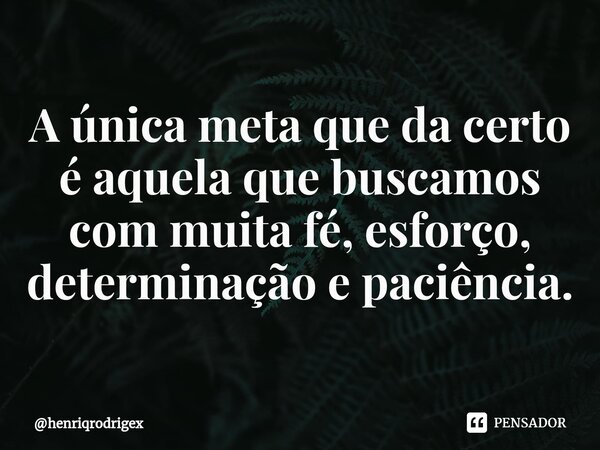 A única meta que da certo é aquela que buscamos com muita fé, esforço, determinação e paciência.... Frase de henriqrodrigex.