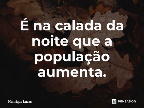 ⁠É na calada da noite que a população aumenta.... Frase de Henrique Lucas.