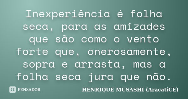 Inexperiência é folha seca, para as amizades que são como o vento forte que, onerosamente, sopra e arrasta, mas a folha seca jura que não.... Frase de HENRIQUE MUSASHI (AracatiCE).