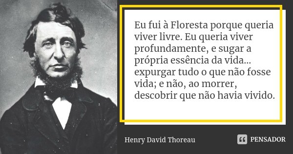 Eu fui à Floresta porque queria viver livre. Eu queria viver profundamente, e sugar a própria essência da vida... expurgar tudo o que não fosse vida; e não, ao ... Frase de Henry David Thoreau.