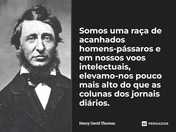 Somos uma raça de acanhados homens-pássaros e em nossos voos intelectuais, elevamo-nos pouco mais alto do que as colunas dos jornais diários.... Frase de Henry David Thoreau.