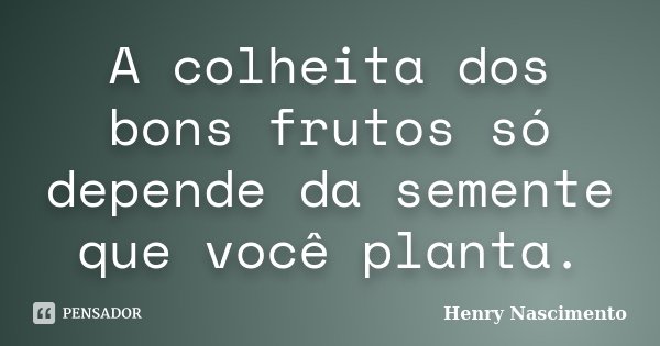 A colheita dos bons frutos só depende da semente que você planta.... Frase de Henry Nascimento.