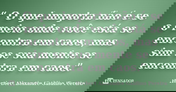 “ O que importa não é se o meio onde você está se encontra em caos, mas sim se sua mente se encontra em caos.”... Frase de Herbert Alexandre Galdino Pereira.
