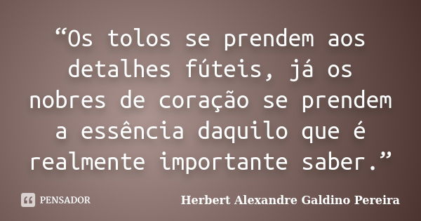 “Os tolos se prendem aos detalhes fúteis, já os nobres de coração se prendem a essência daquilo que é realmente importante saber.”... Frase de Herbert Alexandre Galdino Pereira.