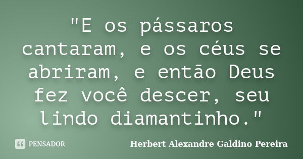 "E os pássaros cantaram, e os céus se abriram, e então Deus fez você descer, seu lindo diamantinho."... Frase de Herbert Alexandre Galdino Pereira.