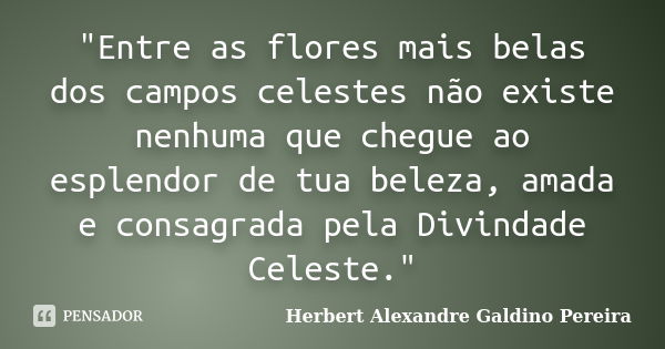 "Entre as flores mais belas dos campos celestes não existe nenhuma que chegue ao esplendor de tua beleza, amada e consagrada pela Divindade Celeste."... Frase de Herbert Alexandre Galdino Pereira.