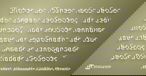 "Entre as flores mais belas dos campos celestes, do céu universal, não existe nenhuma que chegue ao esplendor de tua beleza, amada e consagrada pela Divind... Frase de Herbert Alexandre Galdino Pereira.