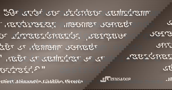 “Se até os bichos admiram a natureza, mesmo sendo seres irracionais, porque então o homem sendo racional não a admira e a destrói?”... Frase de Herbert Alexandre Galdino Pereira.