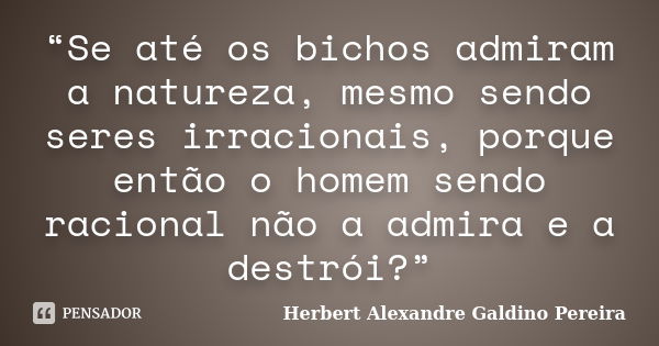 “Se até os bichos admiram a natureza, mesmo sendo seres irracionais, porque então o homem sendo racional não a admira e a destrói?”... Frase de Herbert Alexandre Galdino Pereira.