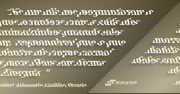 “Se um dia me perguntarem o que acontece com a vida dos animaizinhos quando eles morrem, responderei que o que habita dentro do corpo carnal deles volta para De... Frase de Herbert Alexandre Galdino Pereira.