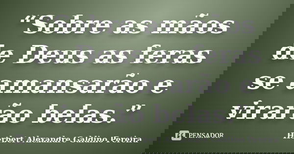 “Sobre as mãos de Deus as feras se amansarão e virarão belas.”... Frase de Herbert Alexandre Galdino Pereira.