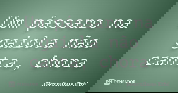 Um pássaro na gaiola não canta, chora... Frase de Herculinus Erbi.