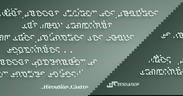 Não posso tirar as pedras do meu caminho e nem das plantas os seus espinhos... Mas, posso aprender a caminhar entre eles!... Frase de Heredion Castro.
