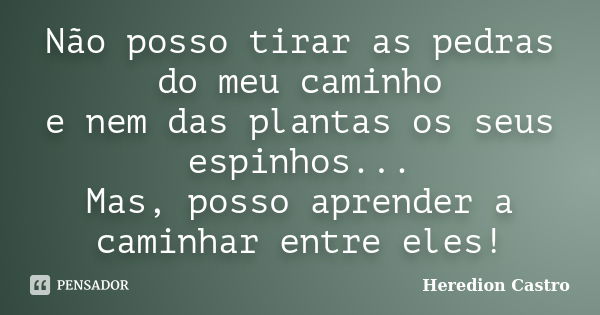 Não posso tirar as pedras do meu caminho e nem das plantas os seus espinhos... Mas, posso aprender a caminhar entre eles!... Frase de Heredion Castro.