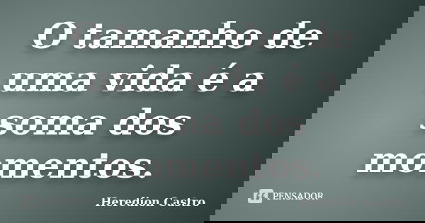 O tamanho de uma vida é a soma dos momentos.... Frase de Heredion Castro.