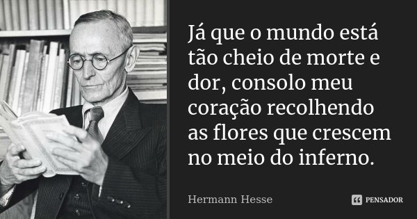 Já que o mundo está tão cheio de morte e dor, consolo meu coração recolhendo as flores que crescem no meio do inferno.... Frase de Hermann Hesse.