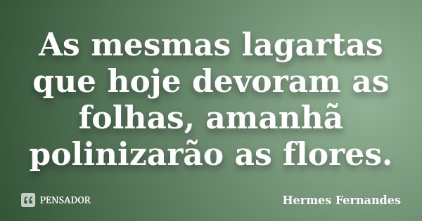 As mesmas lagartas que hoje devoram as folhas, amanhã polinizarão as flores.... Frase de Hermes Fernandes.
