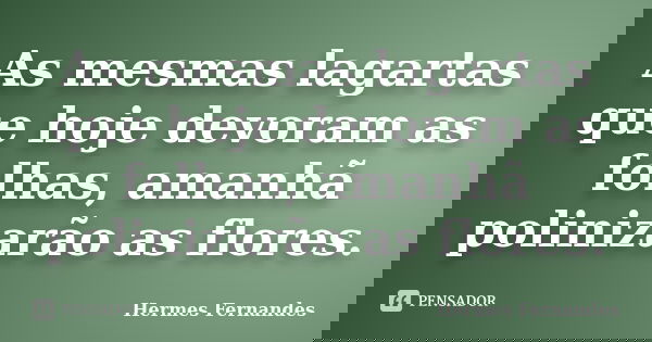As mesmas lagartas que hoje devoram as folhas, amanhã polinizarão as flores.... Frase de Hermes Fernandes.