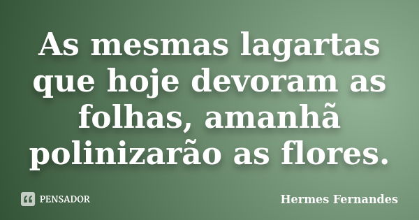 As mesmas lagartas que hoje devoram as folhas, amanhã polinizarão as flores.... Frase de Hermes Fernandes.