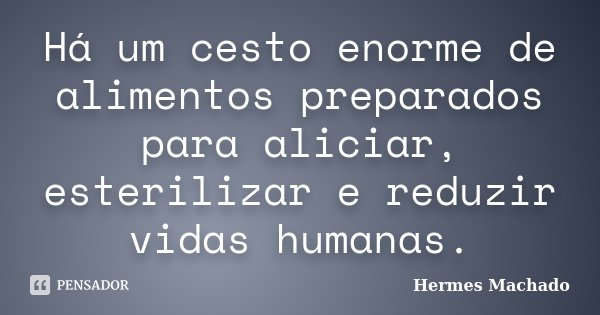 Há um cesto enorme de alimentos preparados para aliciar, esterilizar e reduzir vidas humanas.... Frase de Hermes Machado.