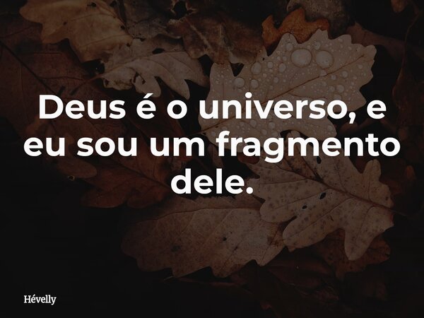 Deus é o universo, e eu sou um fragmento dele.... Frase de Hévelly.