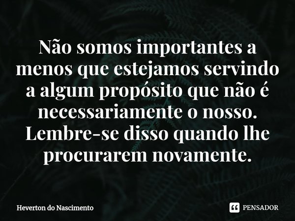 ⁠Não somos importantes a menos que estejamos servindo a algum propósito que não é necessariamente o nosso. Lembre-se disso quando lhe procurarem novamente.... Frase de Heverton do Nascimento.