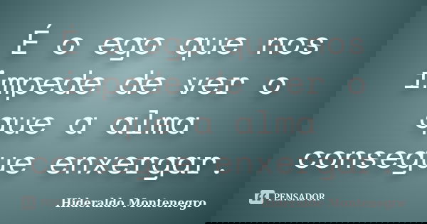 É o ego que nos impede de ver o que a alma consegue enxergar.... Frase de Hideraldo Montenegro.